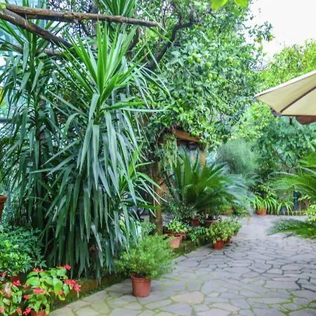 Appartamento Cosy In - 35 M² With Sea View *